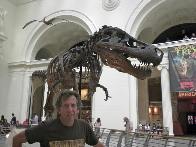 Largest T-Rex ever found in Chicago Museum